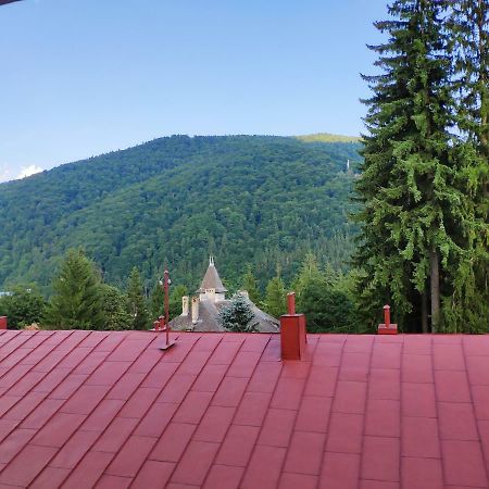 锡纳亚Cozy Loft At Teleferic公寓 外观 照片